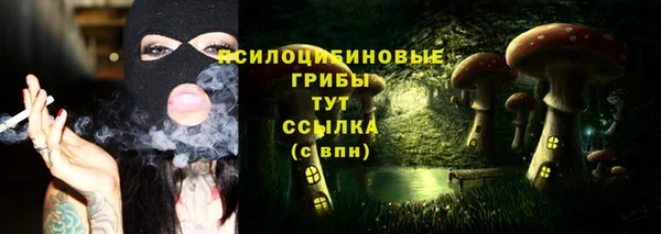дмт Армянск