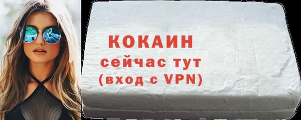 стаф Тутаев