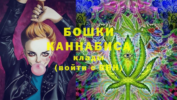 мяу мяу мука Аркадак
