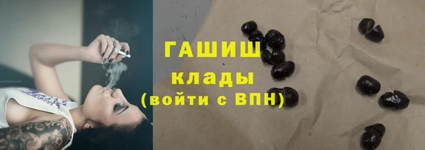 стаф Тутаев