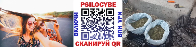 Галлюциногенные грибы Psilocybine cubensis  Краснодар 